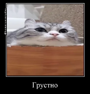 😔
