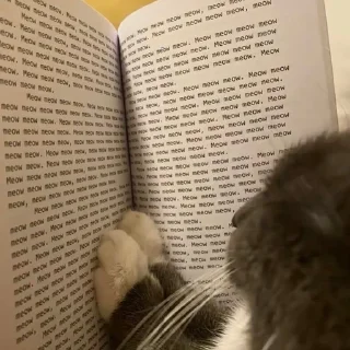🤓