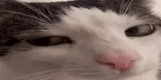 😉