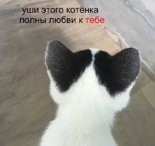 💗