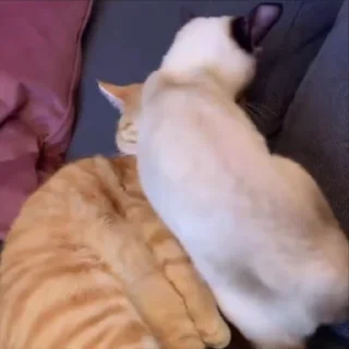 🥰