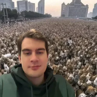 😎