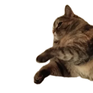 👍