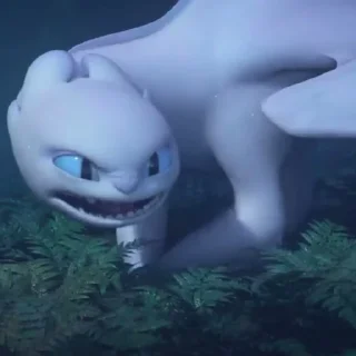 🫧