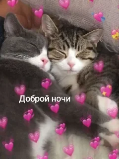 😴