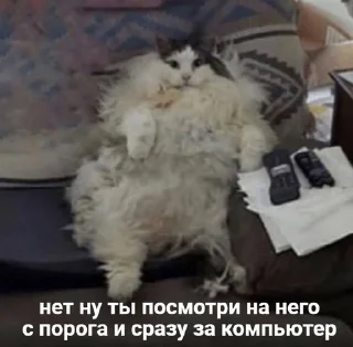 👨‍💻