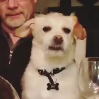 🙄
