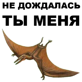 🤞