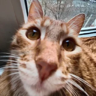 😘