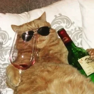 😎