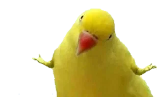 🤷