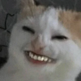 😃