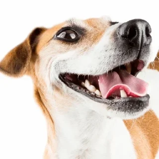 😄