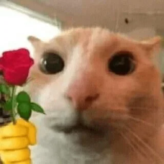 🥺