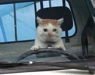 😭