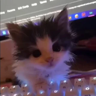 😳
