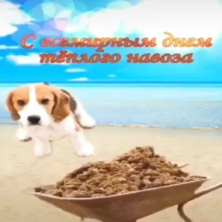 😍