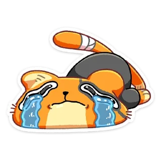 😭