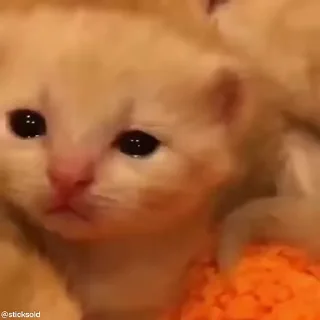 😭