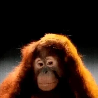 🚫