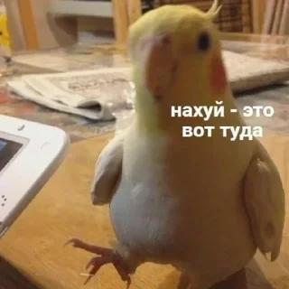 👈