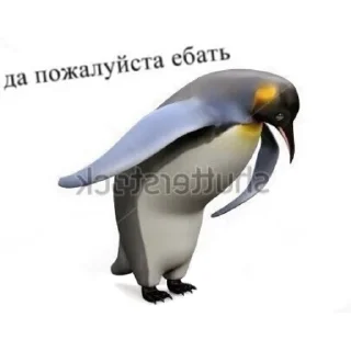👌