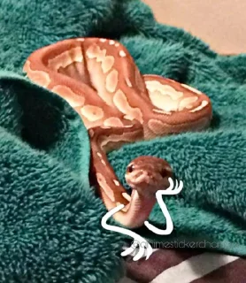 🤨