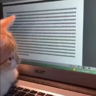 😱