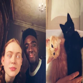 🤩