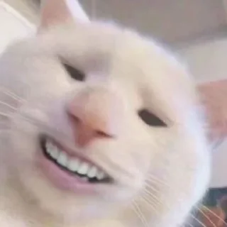 😁