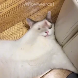 ☹️