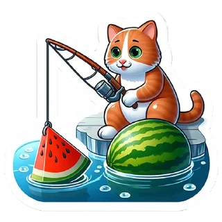 😼