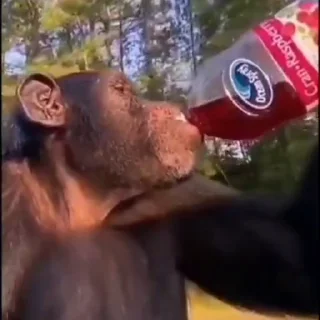 🤤