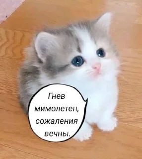 🌟