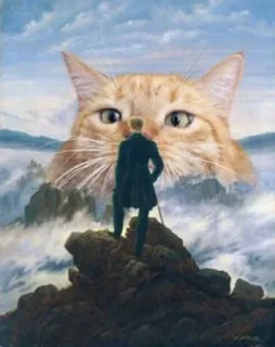 🐈