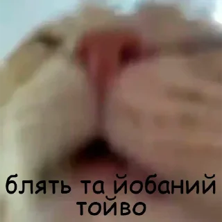 🥱
