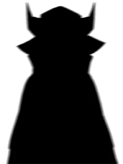 👤