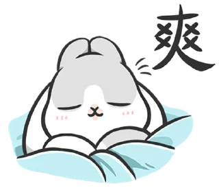 💤