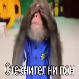 🌟