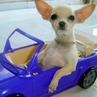 🚗