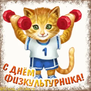 💪