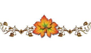 🍁
