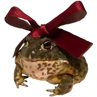 🐸