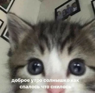 🥰