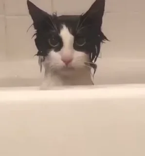😳
