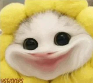 😌