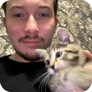 🐱