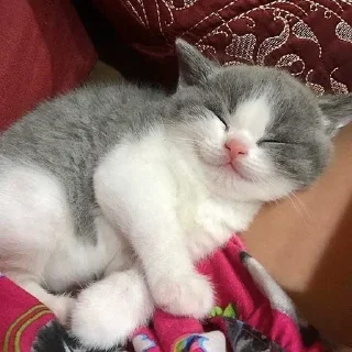🥱