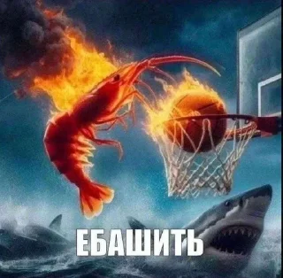 🦐