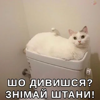 👏